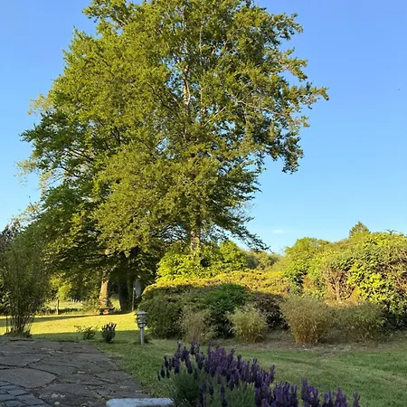 Am Waeldchen Roetgen